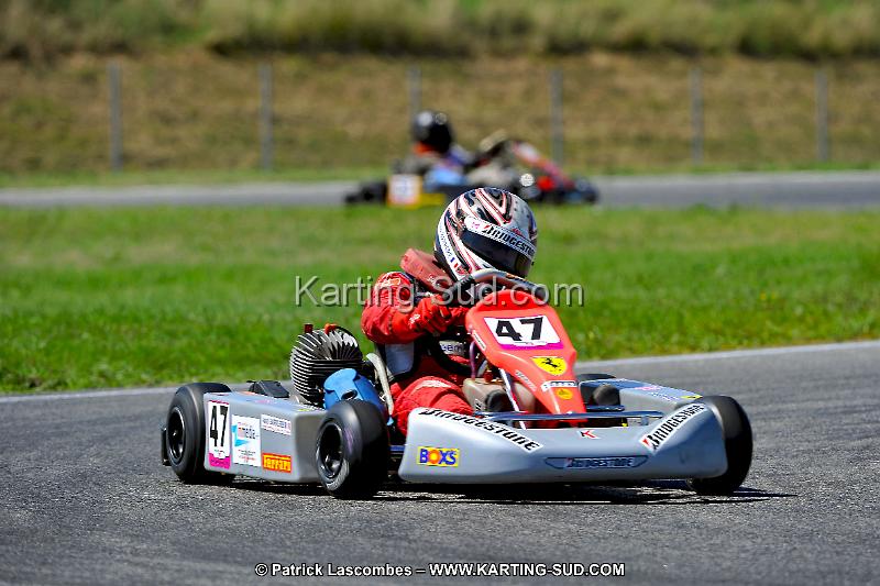 DSC_ (1521).jpg